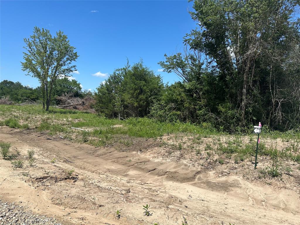 Lot 15 County Road 1110