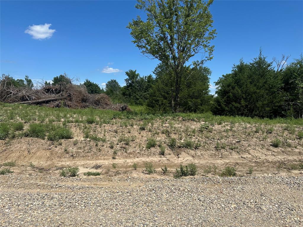 Lot 15 County Road 1110