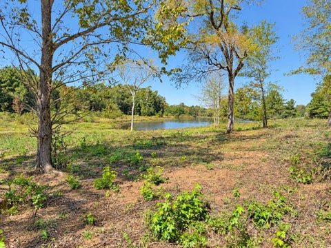 Photo of TBD FM 2015 Lot B, Winona, TX 75792 (MLS # 21419716)