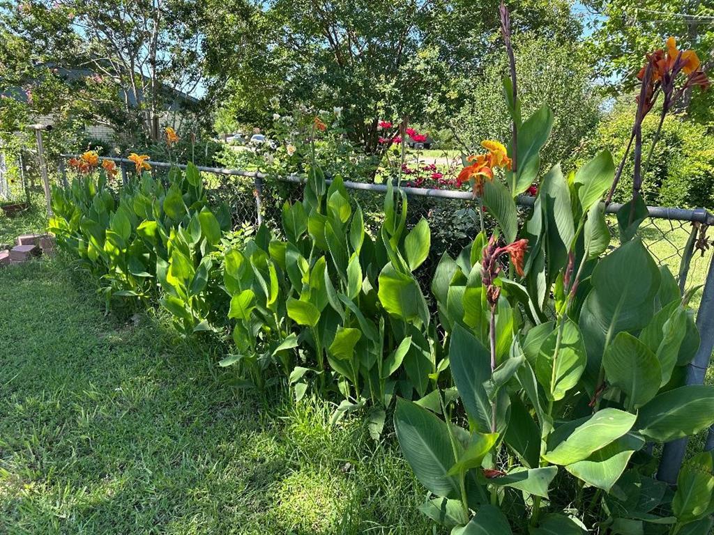 Lakeview - Residential