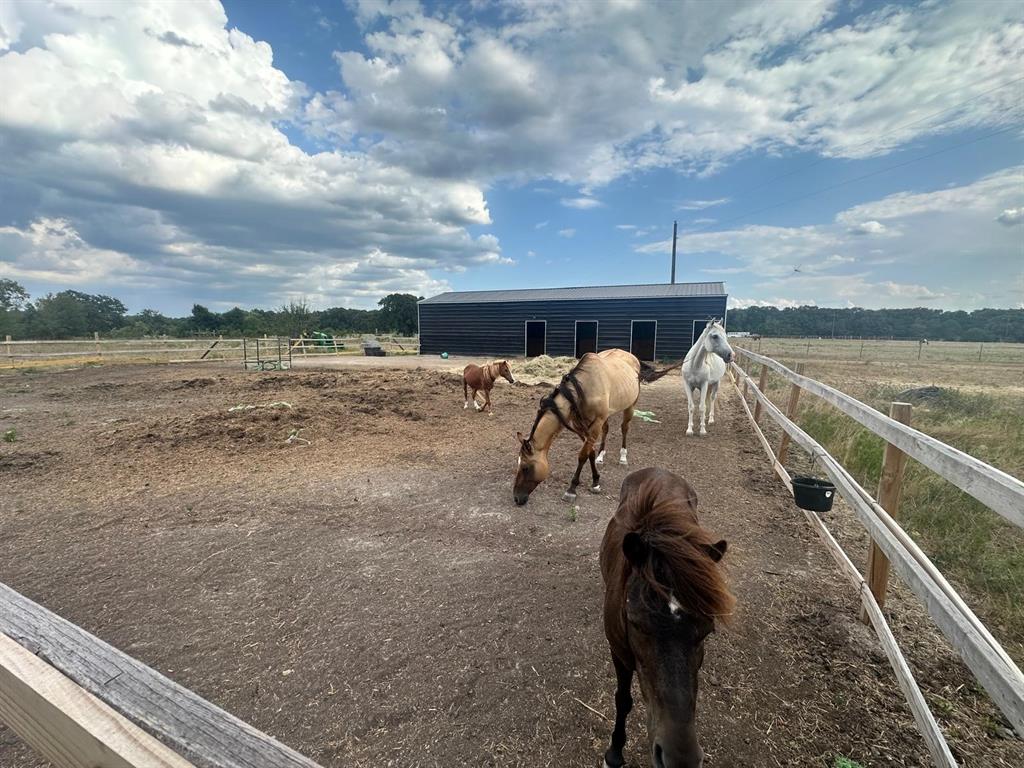Photo of 12496 County Road 2148, Kemp, TX 75143 (MLS # 21391790)