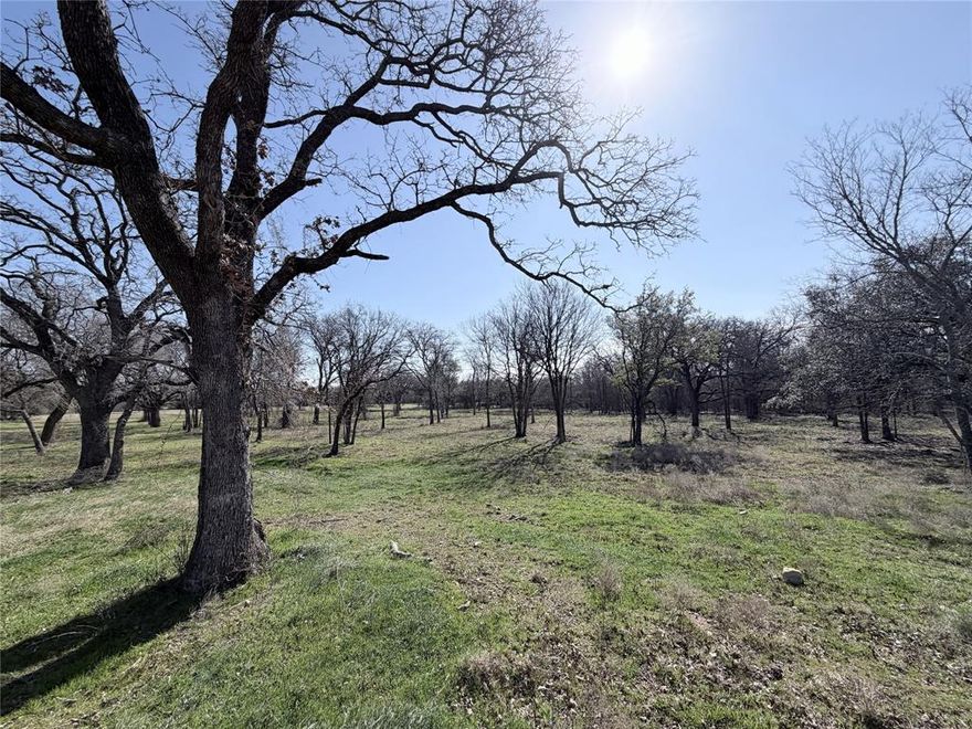 A beautiful 3-acre tract inside the city limits of Whitney, featuring gorgeous mature trees including live oaks. Situated in the gated Lakewood Acres subdivision with City water, underground electric, and a chip sealed road. Deed restrictions align with City of Whitney regulations. A peaceful, wooded homesite with wildlife just minutes from town.