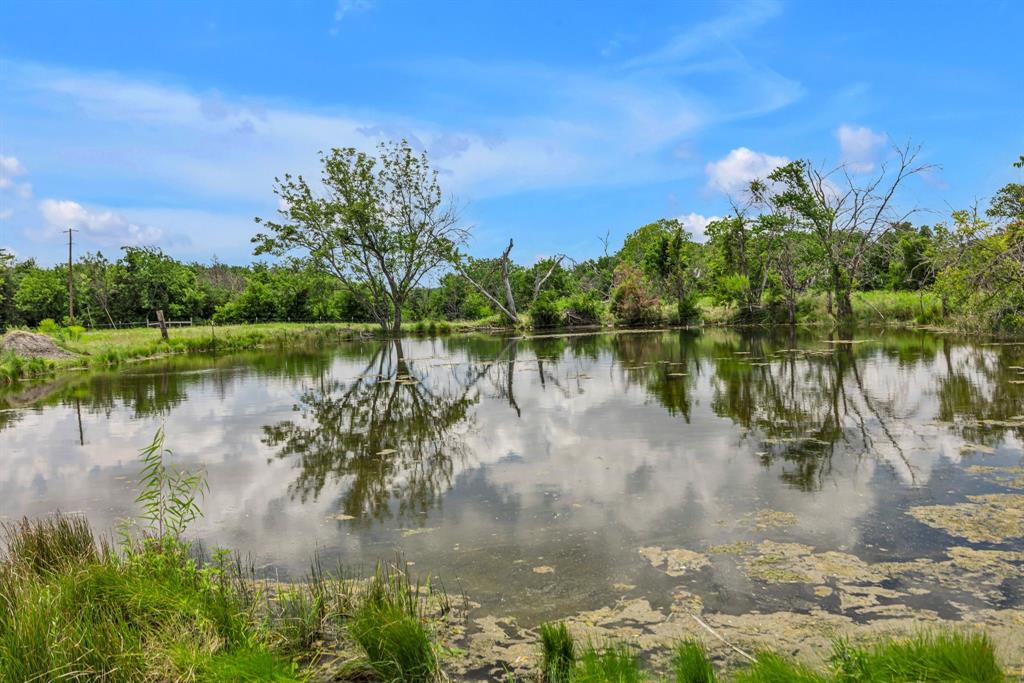 MARTHA MUSICK - Land