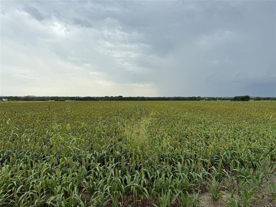 Situated in the rolling hills of southern Cooke County, this picturesque 3-acre property offers the perfect mix of rural charm and recreational convenience. Located within Gainesville ISD and just minutes from Lake Ray Roberts, this land provides an ideal setting for a custom home, weekend escape, or long-term investment. With county road frontage and utilities nearby, it’s ready for your vision—whether that’s a barndominium, modern farmhouse, or a peaceful retreat with room to roam.

The property features farmed pasture land creating a beautiful canvas for development or leisure. With no HOA restrictions, you’ll enjoy the freedom to design your space as you see fit—bring your horses, build a shop, or start a small homestead. Lake Ray Roberts, one of North Texas’s most scenic and popular lakes, is just a short drive away, offering year-round opportunities for boating, fishing, kayaking, and hiking. For added entertainment, WinStar World Casino and Resort is also nearby, giving you access to concerts, dining, golfing, and gaming within minutes.

Located just south of Gainesville with quick access to I-35, US-377, and Highway 82, this property offers both seclusion and connectivity. Whether you’re commuting to Denton or the Metroplex, planning to build your forever home, or simply looking for a piece of land to enjoy on weekends, this is a rare opportunity to own acreage in a prime and growing area of North Texas.

Don't miss your chance to claim your own slice of country life with lake access, top-rated schools, and exciting nearby amenities. Schedule your showing today and come see what makes this property so special.