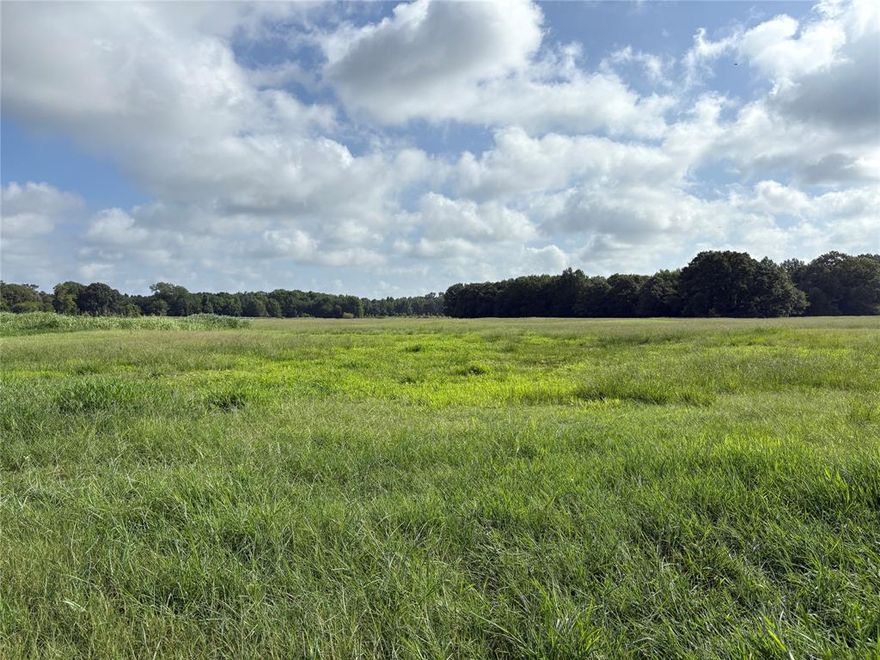 Beautiful 20 acre ag-exempt corner tract located in a peaceful area of Franklin County and in the sought after Mount Vernon ISD. This tract is currently used as hay production with improved grasses and fertile sandy type soil and only about 2 ac of hardwood timber at the back of property providing some natural habitat for deer, hogs, squirrel and other wildlife. Also the south side has a tree lined boundary along the road for added privacy and beauty. This tract is just the right size for a new home, shop, garden and room for a few animals. This lot has county road frontage on both the west and south sides allowing for multiple access points for your conveince. Electricity at the road and water serviced by Cypress Springs SUD. Located only a few minutes north of Mount Vernon Tx. and approximately 2 hours from DFW area.