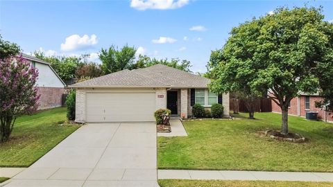 1021 Willow Tree Drive McKinney TX 75071