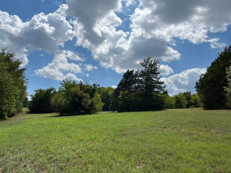 Excellent development opportunity. Less than 0.5 miles from HWY 75. 1.4 miles from Texoma Medical Center. Currently, ag exempt, grow Bermuda hay. Zoned SF-1 minimum of 6000sq feet lot size. Can also be developed to one-acre lots. Within Sherman city limit and in an opportunity zone. No flood plain. 

Rolling Terrian includes a pond and creek running through scattered woods. Stunning views from the hilltop. Buyer to pay rollback taxes if current use is changed. Buyer, buyer agent to confirm sewage and water utilities at the site. ESA phase 1 is complete. New survey less than one-year-old available. Please look at the transaction desk for documents.

Buyer, Buyer agent to confirm the information provided.