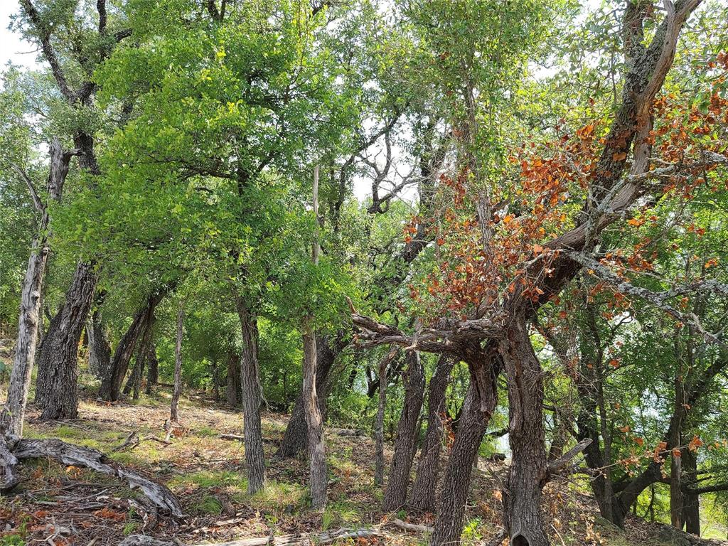 Kings Point Cove - Land