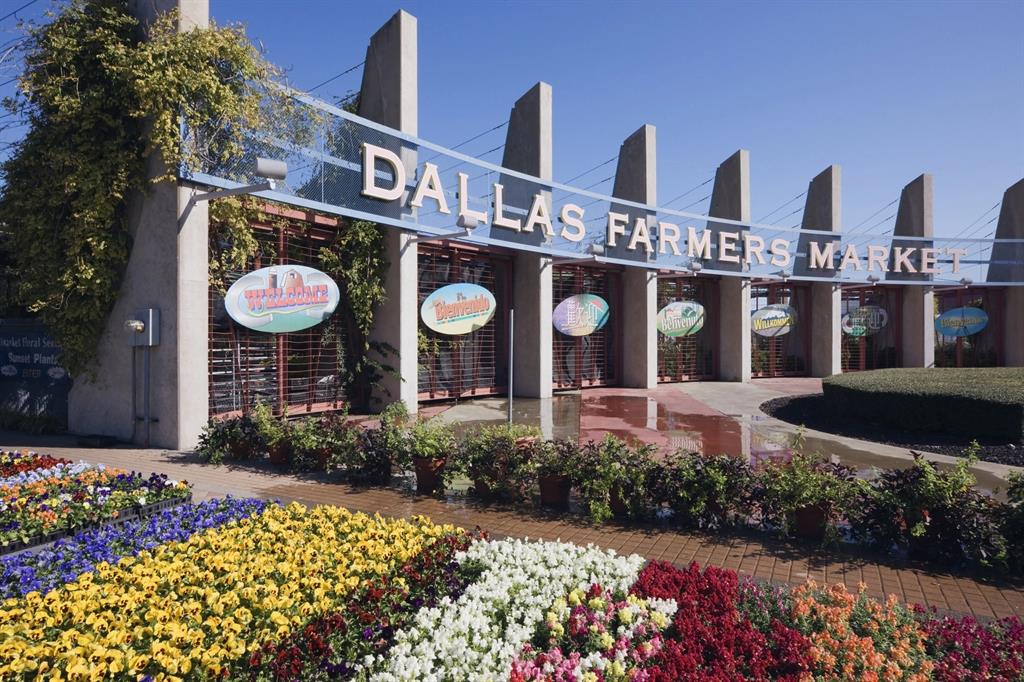 Intown Homes-Farmers Market - Residential