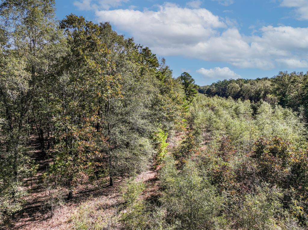 000 County Road 3235