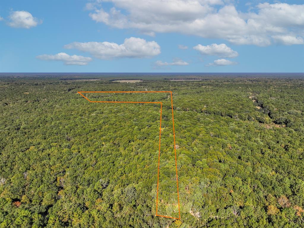 000 County Road 3235