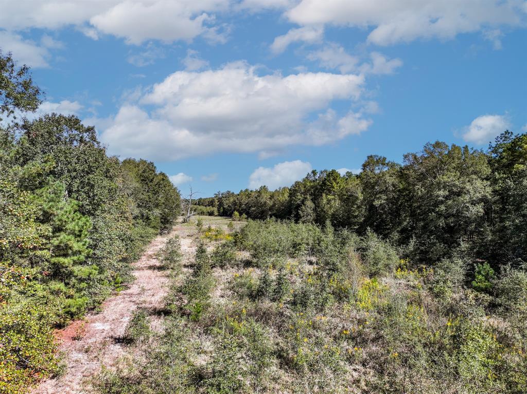000 County Road 3235