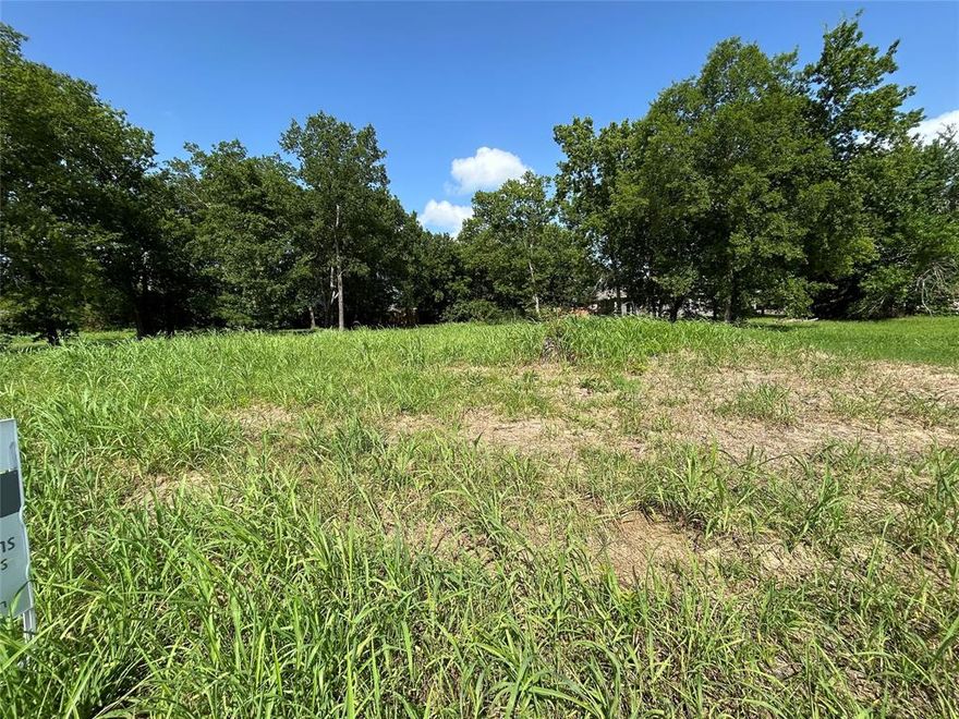 Would make a great site for your new home! Lot measures 50ft x 150ft. Some trees, across the street from school and recently built homes with paved roads. Do not miss out on this great deal! Survey is available.