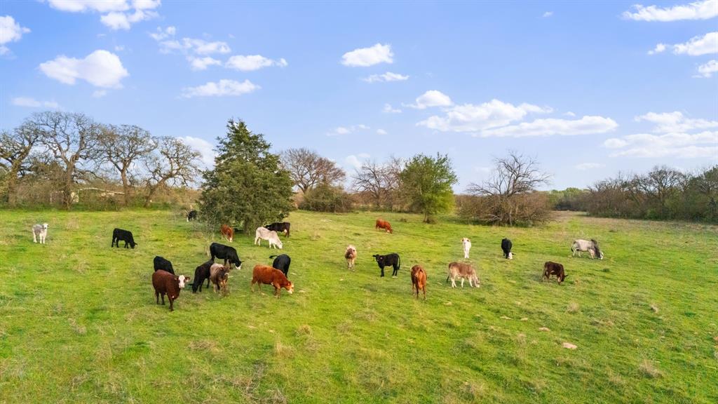 Bloomfield Jt - Farm