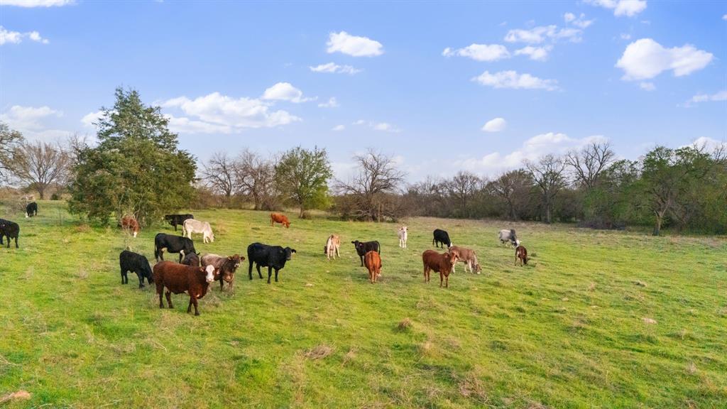Bloomfield Jt - Farm