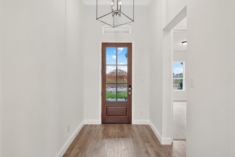 804 Scarlet Sage Drive