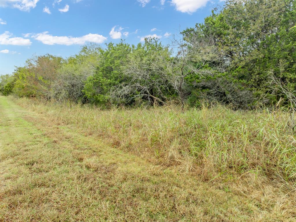 White Bluff #40 - Land