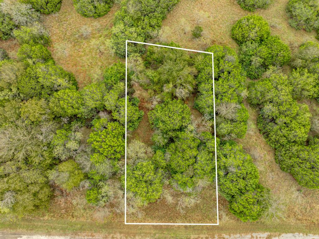 White Bluff #40 - Land