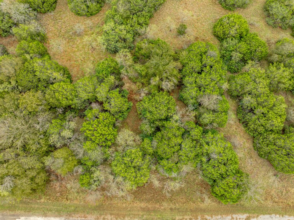 White Bluff #40 - Land