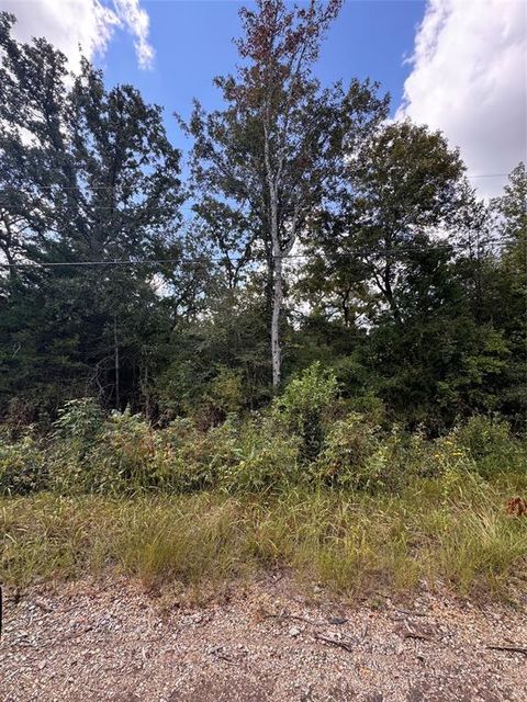 TBD-2 Cottonwood Lane Murchison TX 75778
