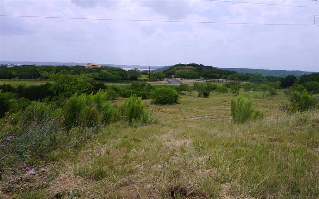 Lot 458 Canyon Wren