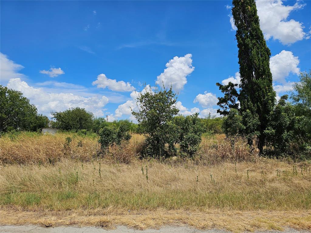 Henderson Add 2 Town Coleman - Land