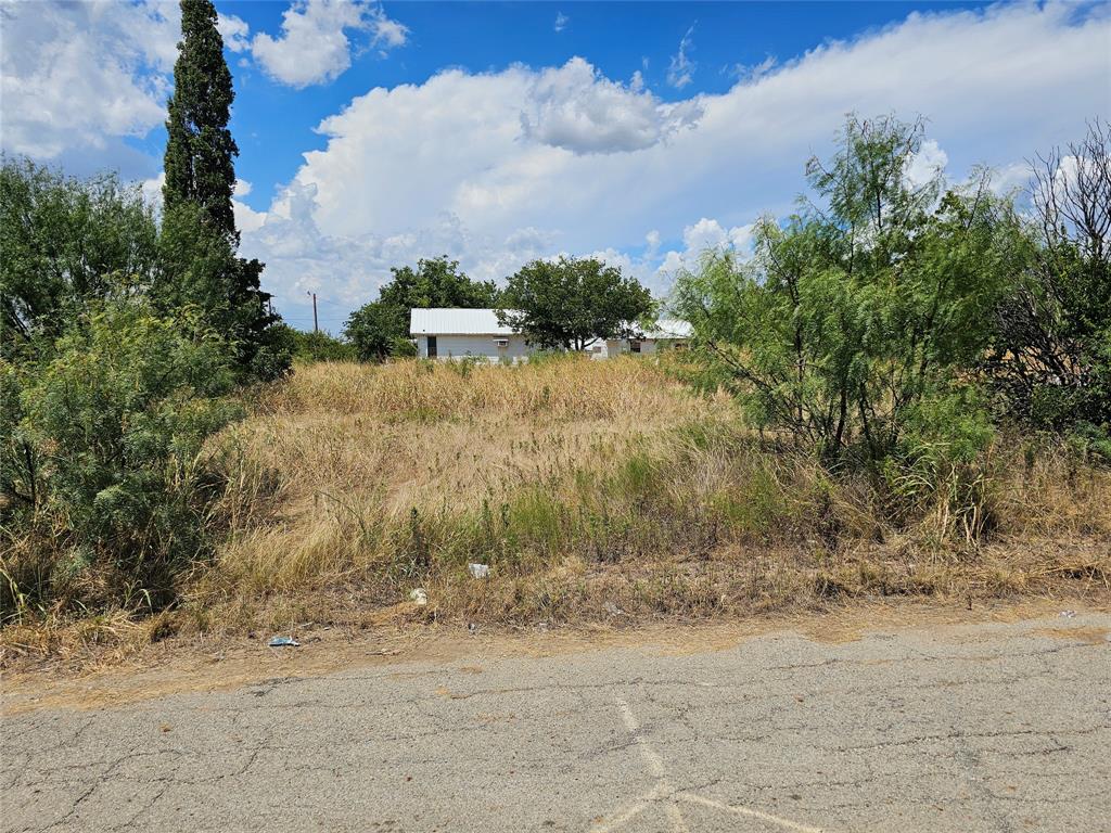 Henderson Add 2 Town Coleman - Land