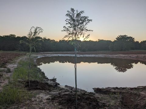 Photo of 268 Private Road 3427, Bridgeport, TX 76426 (MLS # 21179219)