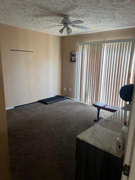 99 W Mountain Creek Drive 14