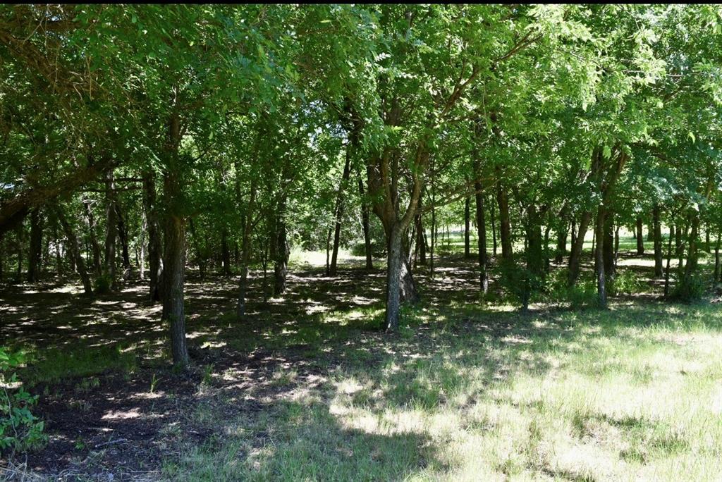 2955 Muirfield