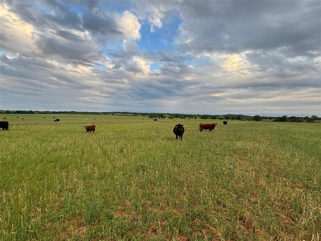 SANDERS VANCE - Farm