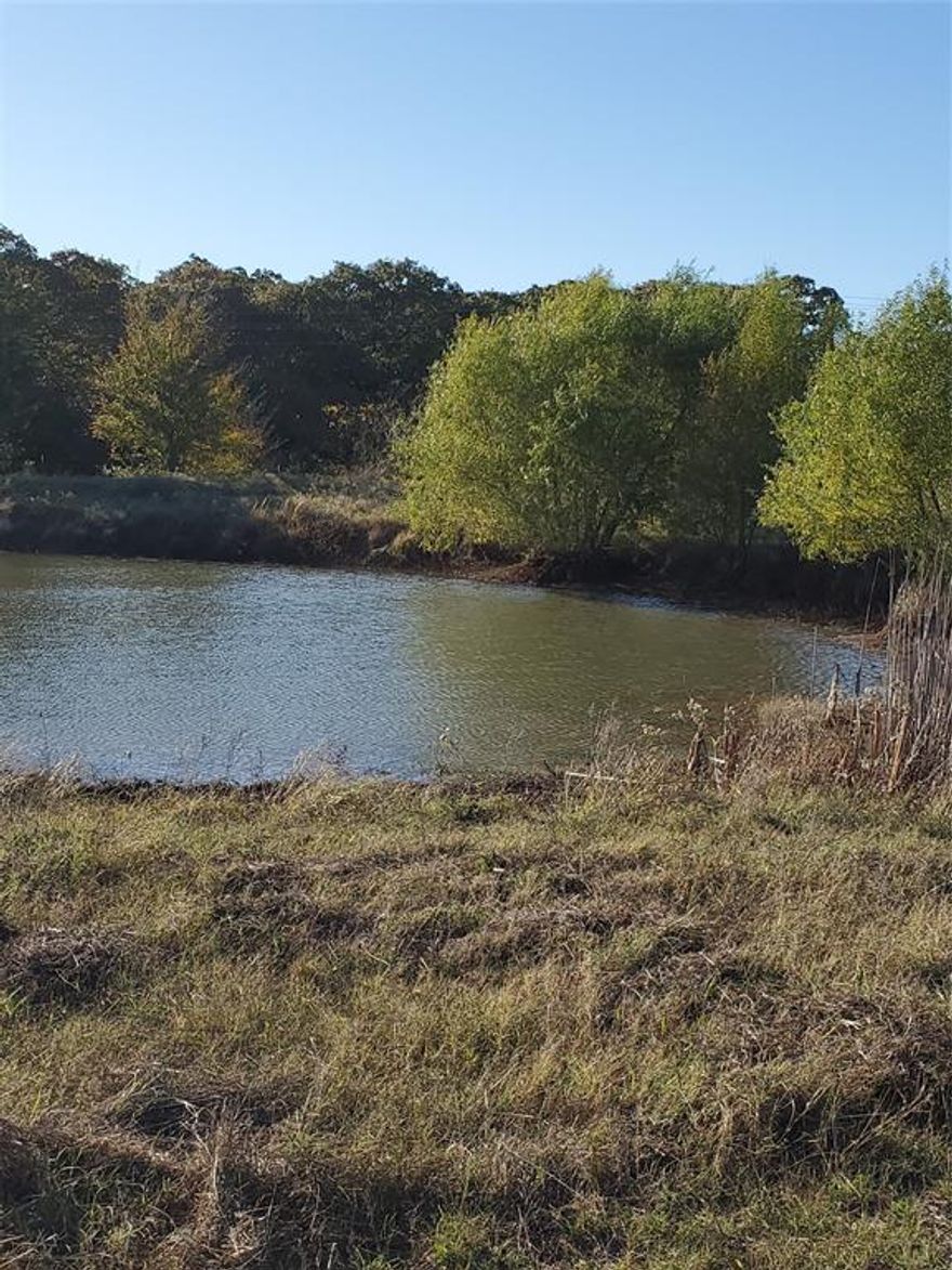 Come and see the *Stars at Night* away from the City Lights!  This listing is for 27 +- Acres that are to be surveyed out of a larger tract.  The land is currently used for hay production and grazing.  There are No Restrictions.  There is a pond on the property.  The property currently has an Agriculture Exemption with Fannin CAD.  Seller will furnish new Survey.  Seller will have a new culvert placed at new entrance location with acceptable offer.  White Shed Water and Fannin County Electric Co-op utilities are located at the road.  The property is just over a mile from the New Bois d'Arc Lake and is not located within the Lake Zoning Area.  Lake Bonham, Lake Crockett, Coffee Mill Lake along with the Caddo National Grasslands are just a few minutes away.  Listing Agent is also the Seller.  Please contact Listing Agent-Seller for any questions.