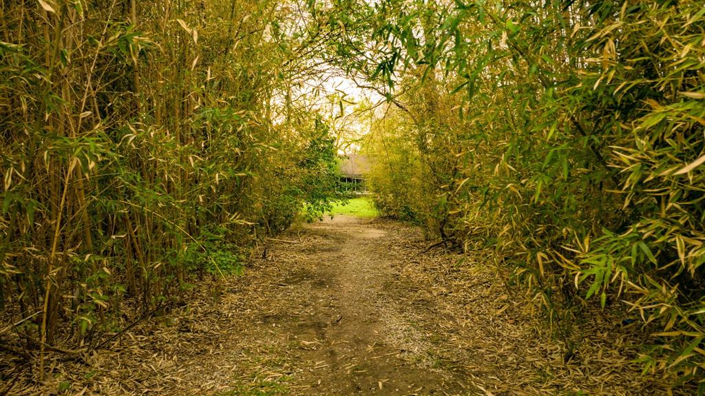 Norris Austin Surv Abs #5 - Land