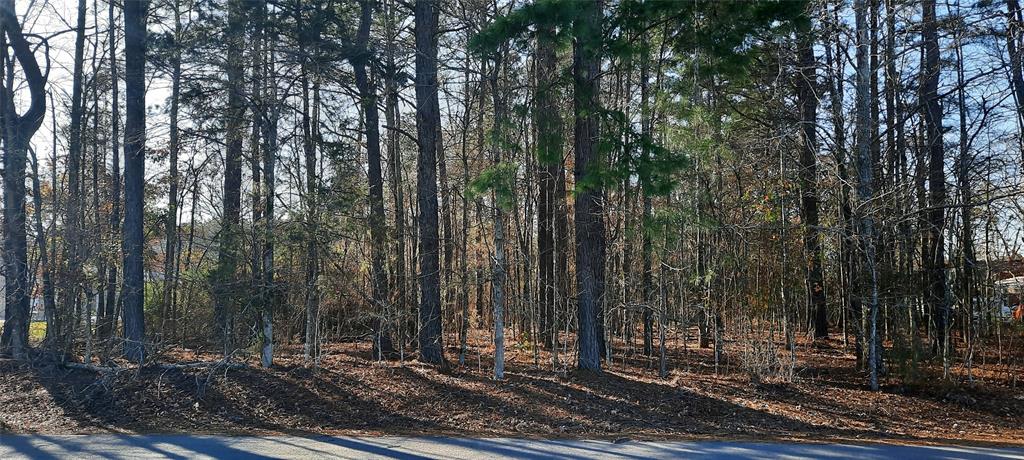 Brock Family Sub - Land