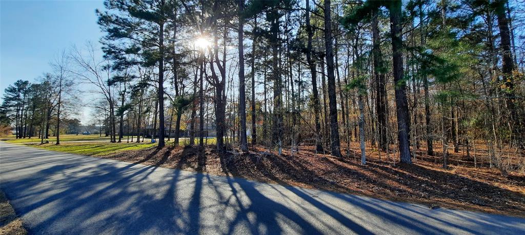 Brock Family Sub - Land