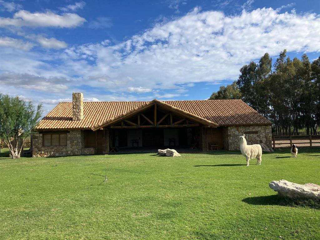 1234 Mendoza