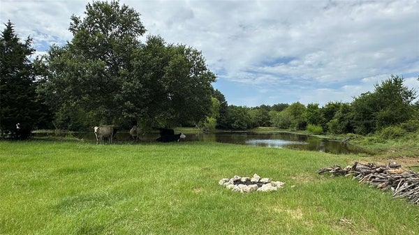 805 THORNTON-CARTER ST, MEXIA, TX 76667 - Image ade67d66f228fe8f7e1da2b9b75f2b39/3382061450
