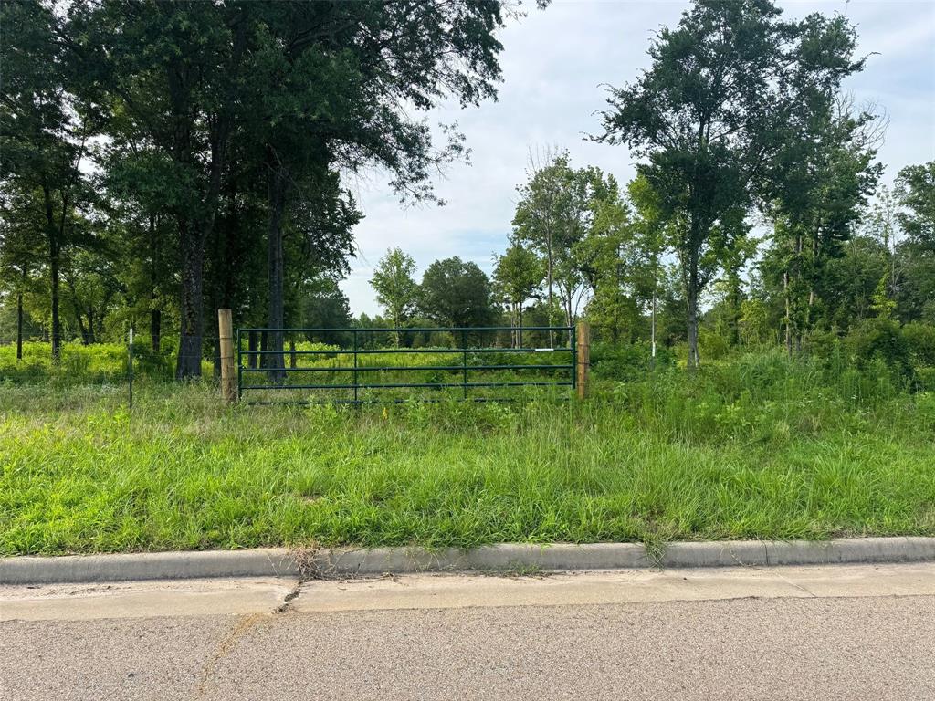 TBD Billy Daniel Parkway