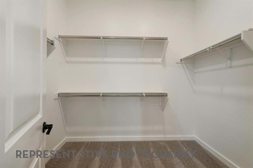 Treeline - Residential