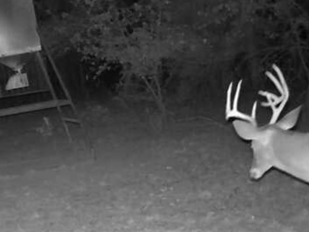 Peter Wade Surv A-966 - Land