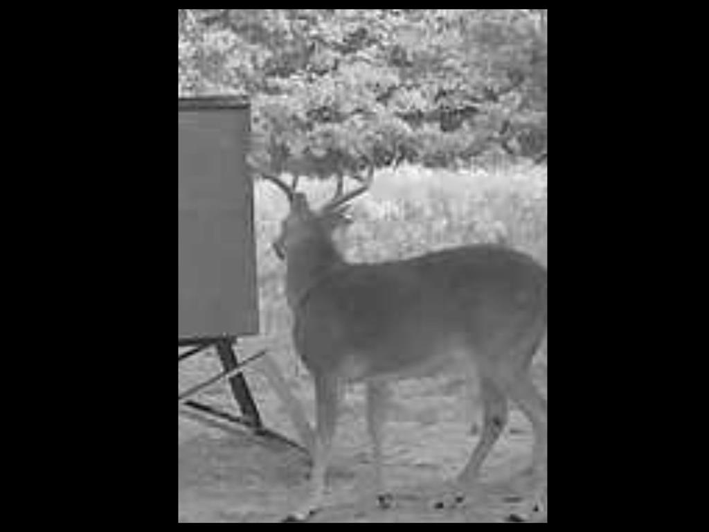 Peter Wade Surv A-966 - Land