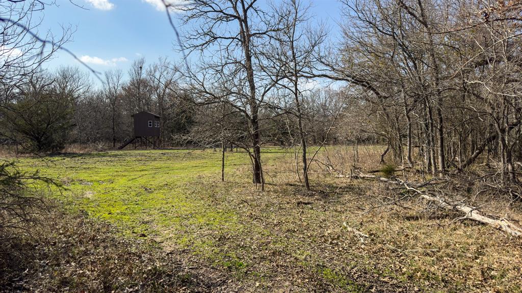 Peter Wade Surv A-966 - Land