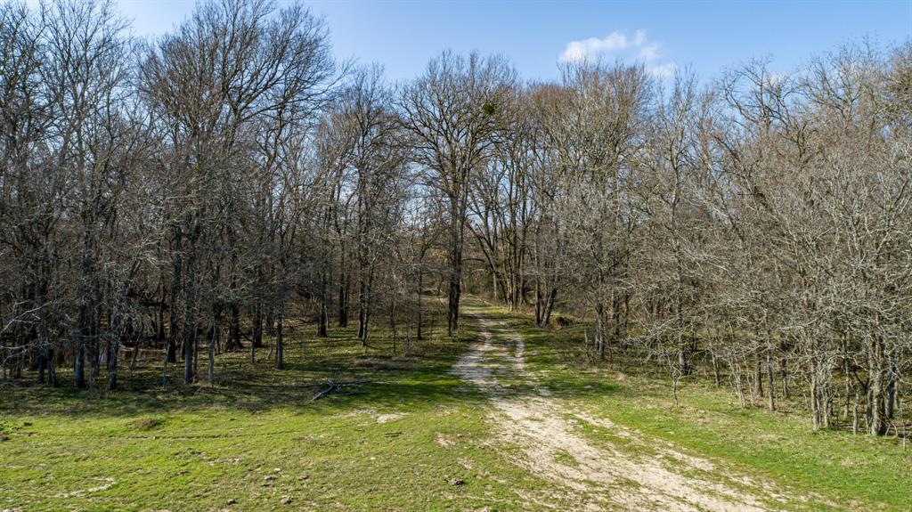 Peter Wade Surv A-966 - Land