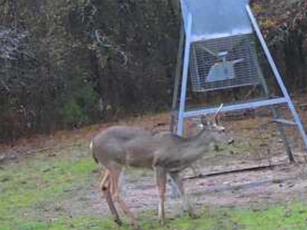 Peter Wade Surv A-966 - Land