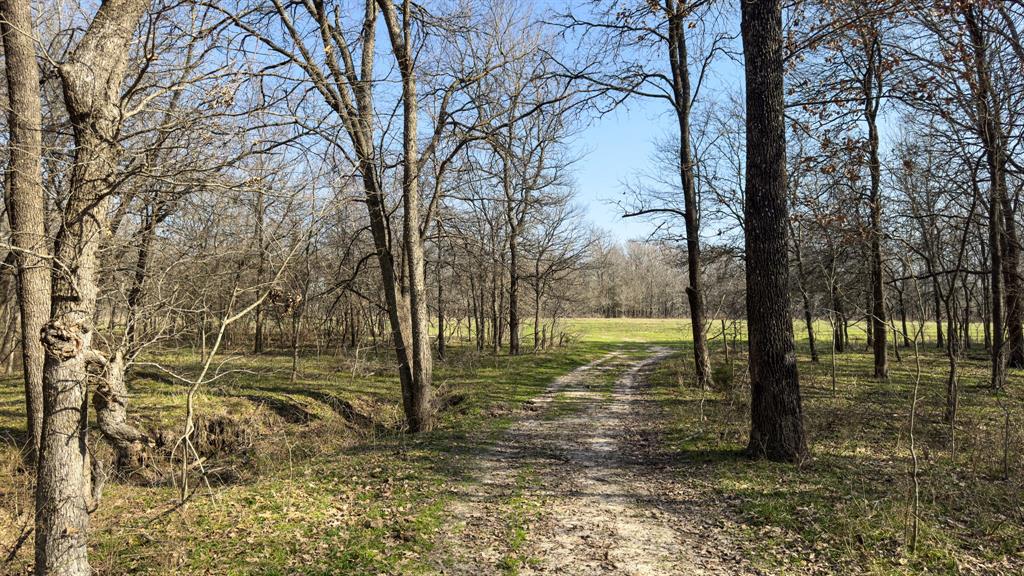 Peter Wade Surv A-966 - Land