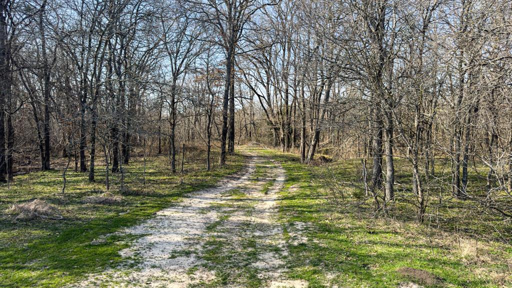 Peter Wade Surv A-966 - Land