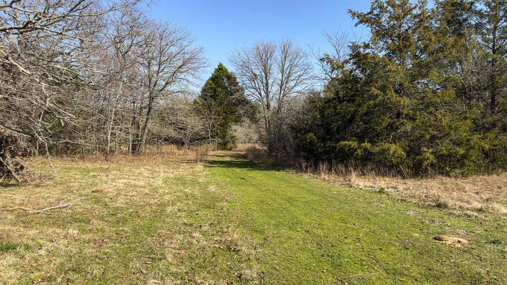 Peter Wade Surv A-966 - Land