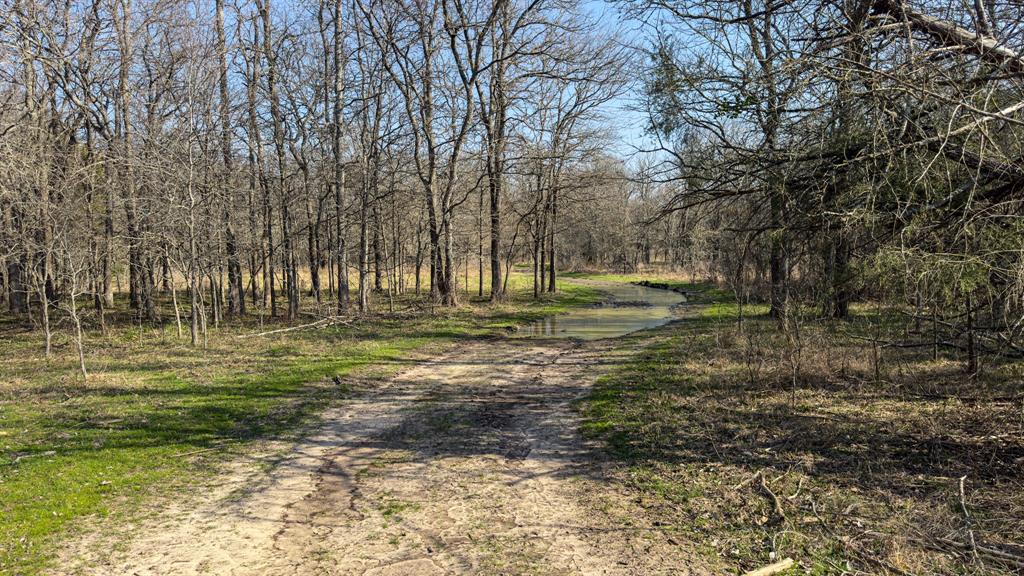 Peter Wade Surv A-966 - Land