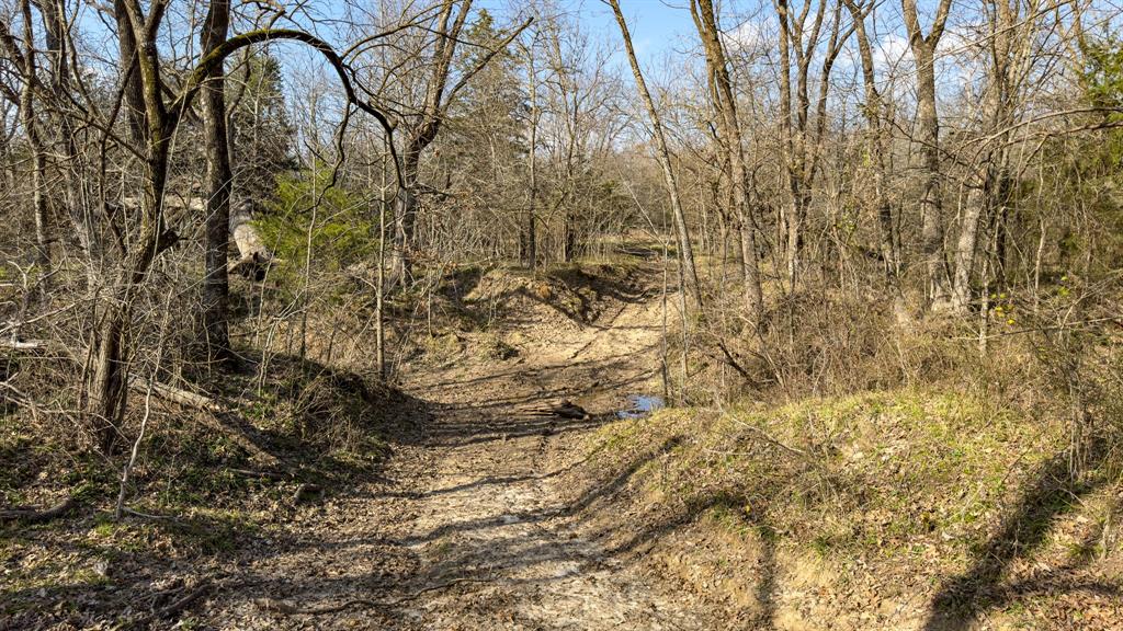 Peter Wade Surv A-966 - Land