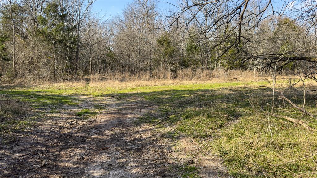 Peter Wade Surv A-966 - Land